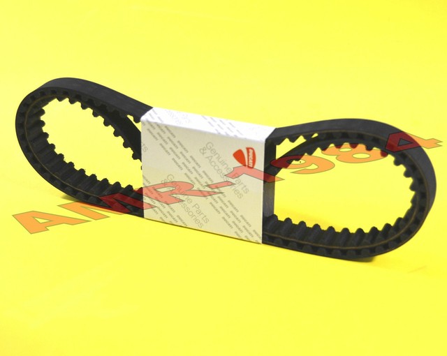 Timing Belts DUCATI Monster 696 Mens 2008 73740242A eBay