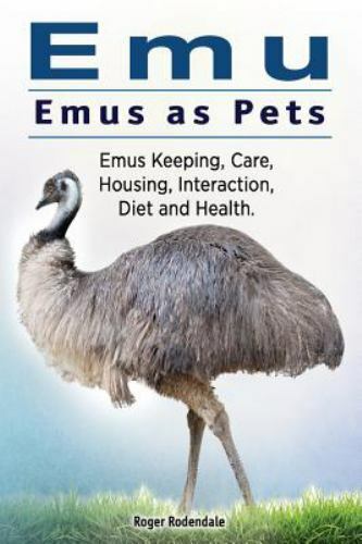 Emu. Emus as Pets. Emus Keeping, Care, Housing, Interaction, Diet and Health… - Picture 1 of 1