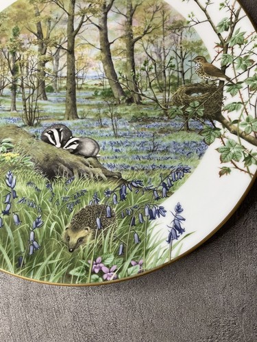 Royal Worcester Limited Edition Collectors Plate The Woodlands In April 1979 - Picture 9 of 14