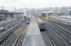 Foto 1 di 3