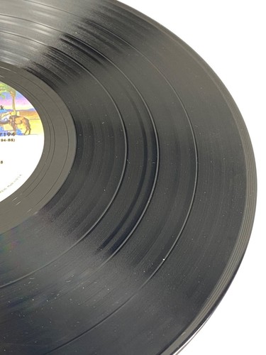 1979 Roller Boogie Soundtrack Double LP Vinyl (NBLP-2-7194) Cher Earth Wind Fire - Picture 18 of 21