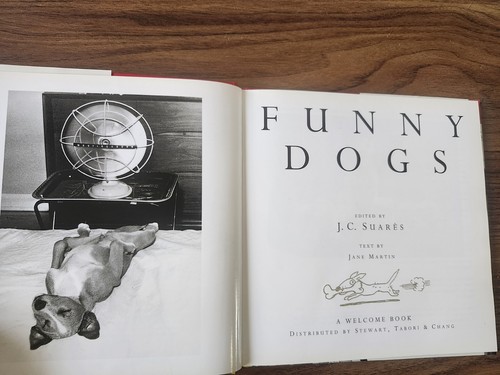 9-Buch Set für hundeschiebende Kinder, Bücher mit Hundehelden - Taschenbuch, sehr gut - Bild 11 von 19