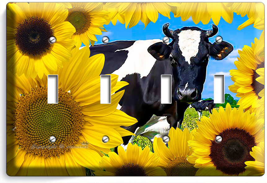 Bild 15 von 34