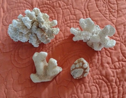 Set Of 4 Ocean Reef Coral for Fish Bowls & Various Sized Aquariums