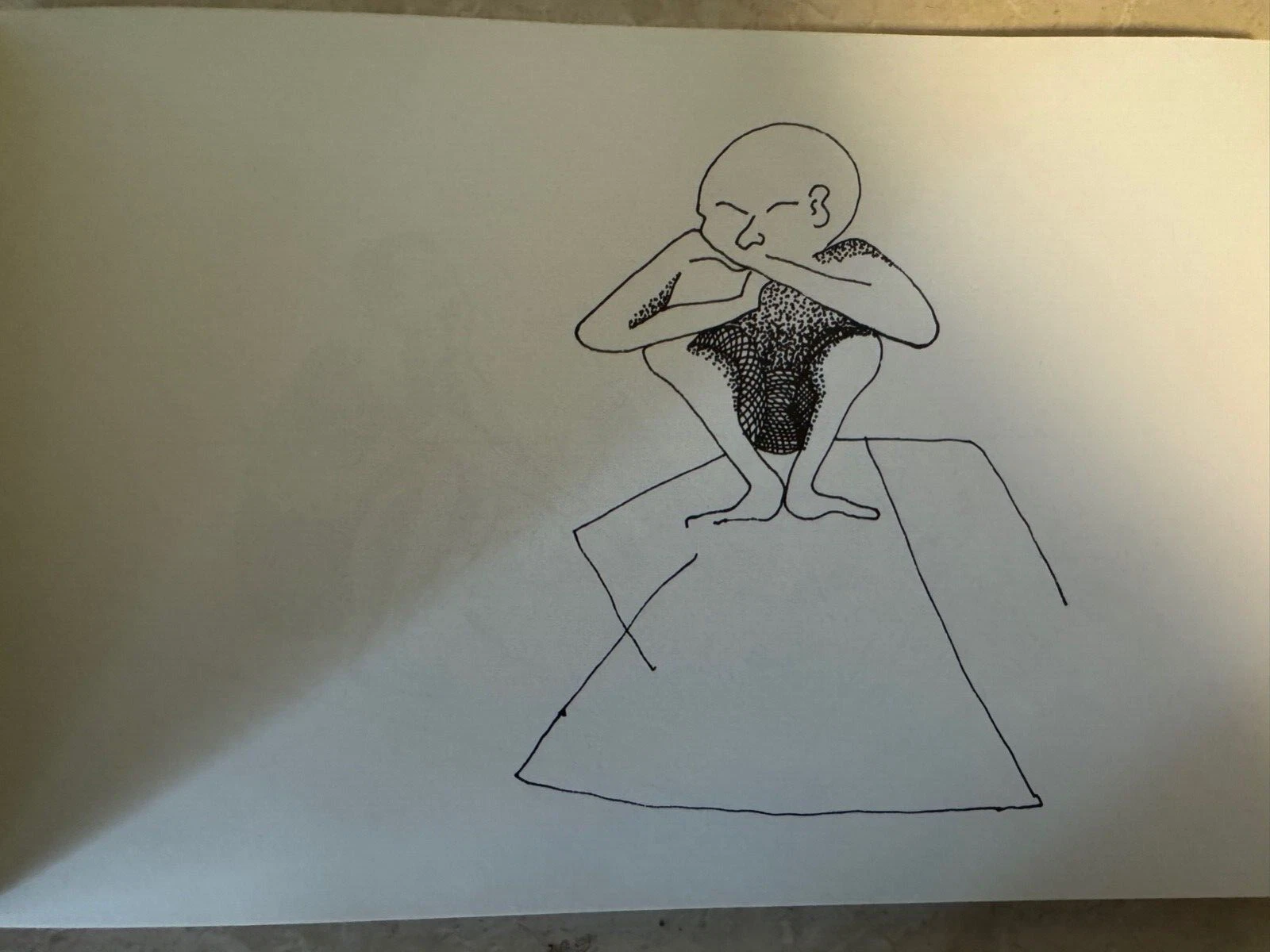 Picture 4 of 12
