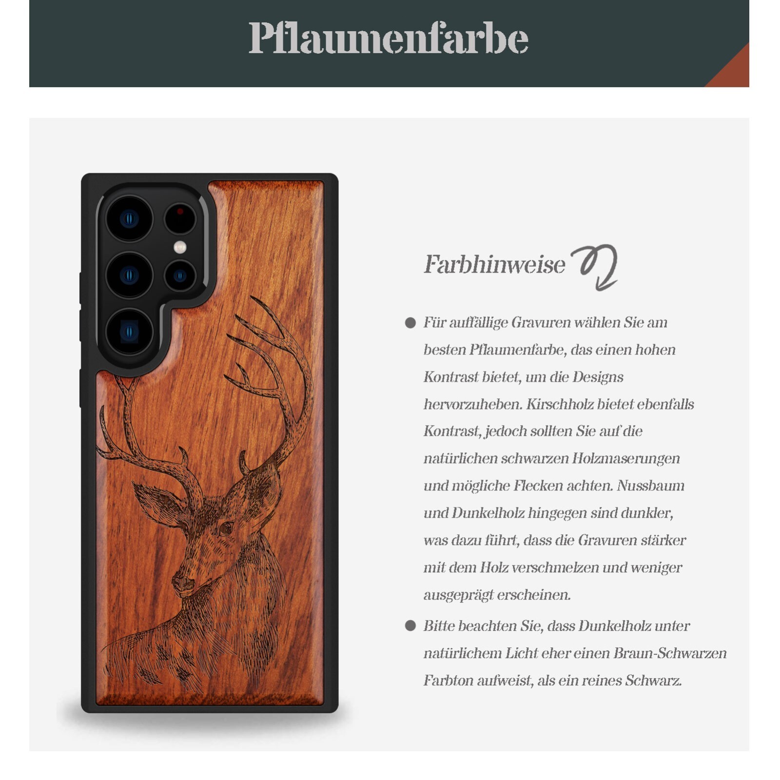 Bild 11 von 12
