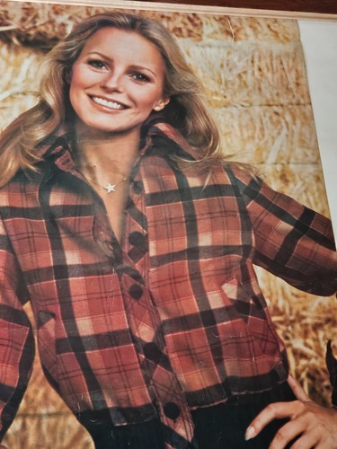 PINUP POSTER ~ Cheryl Ladd as Kris Munroe Charlie's Angels 1977 #12-91 23x35" - Picture 6 of 9