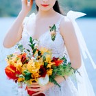 Foto 12 di 12