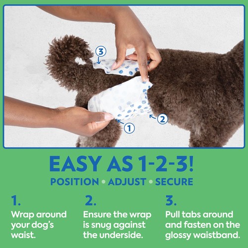 OUT! PetCare Disposable Dog Diapers Male, Puppy Belly Band, Potty Training, D... - Picture 4 of 8