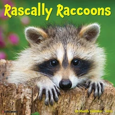 Rascally Raccoons 2026 12" x 12" Wall Calendar (free shipping)