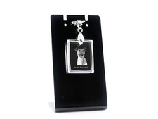 Fox Terrier Smooth Hair, Fox Terrier - Crystal Pendant For Dogs, Photo Necklace