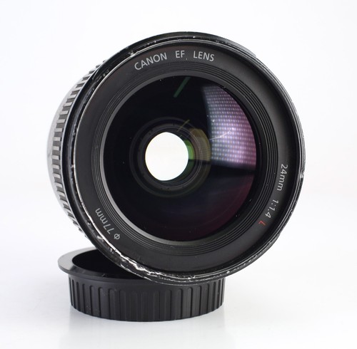 Canon EF 24mm F1.4 L II USM Wide Angle Prime Lens EOS DSLR & Front & Rear Caps - Picture 6 of 16
