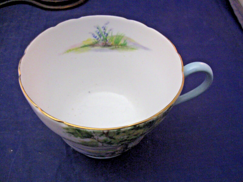 SHELLEY TEA CUP (WOODLAND) & SAUCER (RAMBLE ROSE) MIS-MATCHED LOOK GOOD TOGETHER - Picture 5 of 11