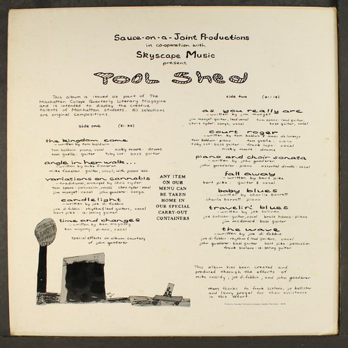 TOOL SHED: manhattan college SKYSCAPE 12" LP 33 RPM - Picture 2 of 2