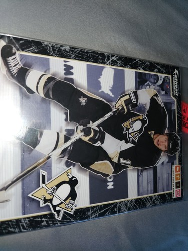 JORDAN STAAL #11 Pittsburgh Penguins Fathead 2009 Tradeables New SGA - Picture 20 of 22