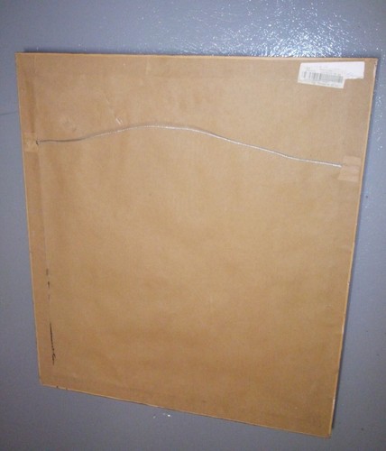 French Botanical 19th Century Fruit Handpainted Framed 26x23 (Broken Glass) - Bild 5 von 5