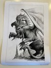 Picture 5 of 5