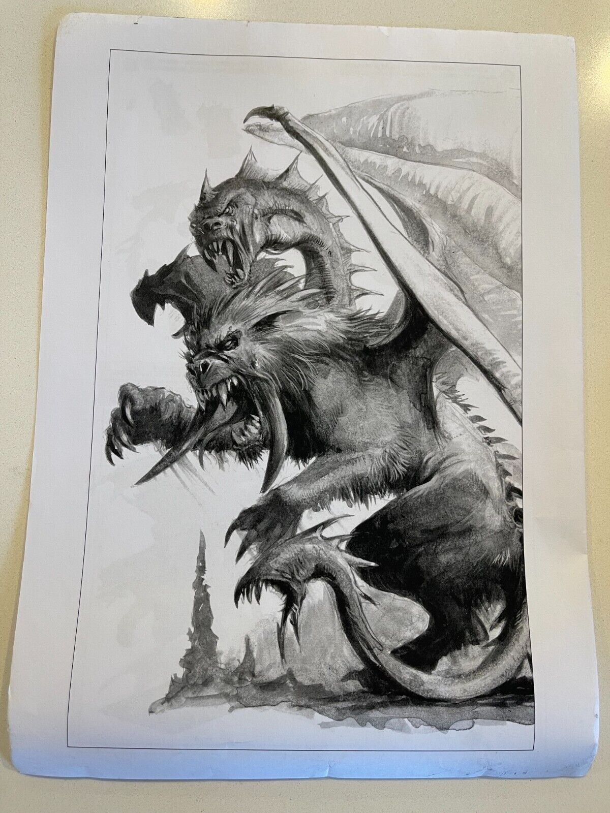 Picture 5 of 5