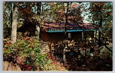 C.1960 CEDAR MOUNTAIN, NC VALLEY VIEW COTTAGE SHERWOOD FOREST POSTCARD P74