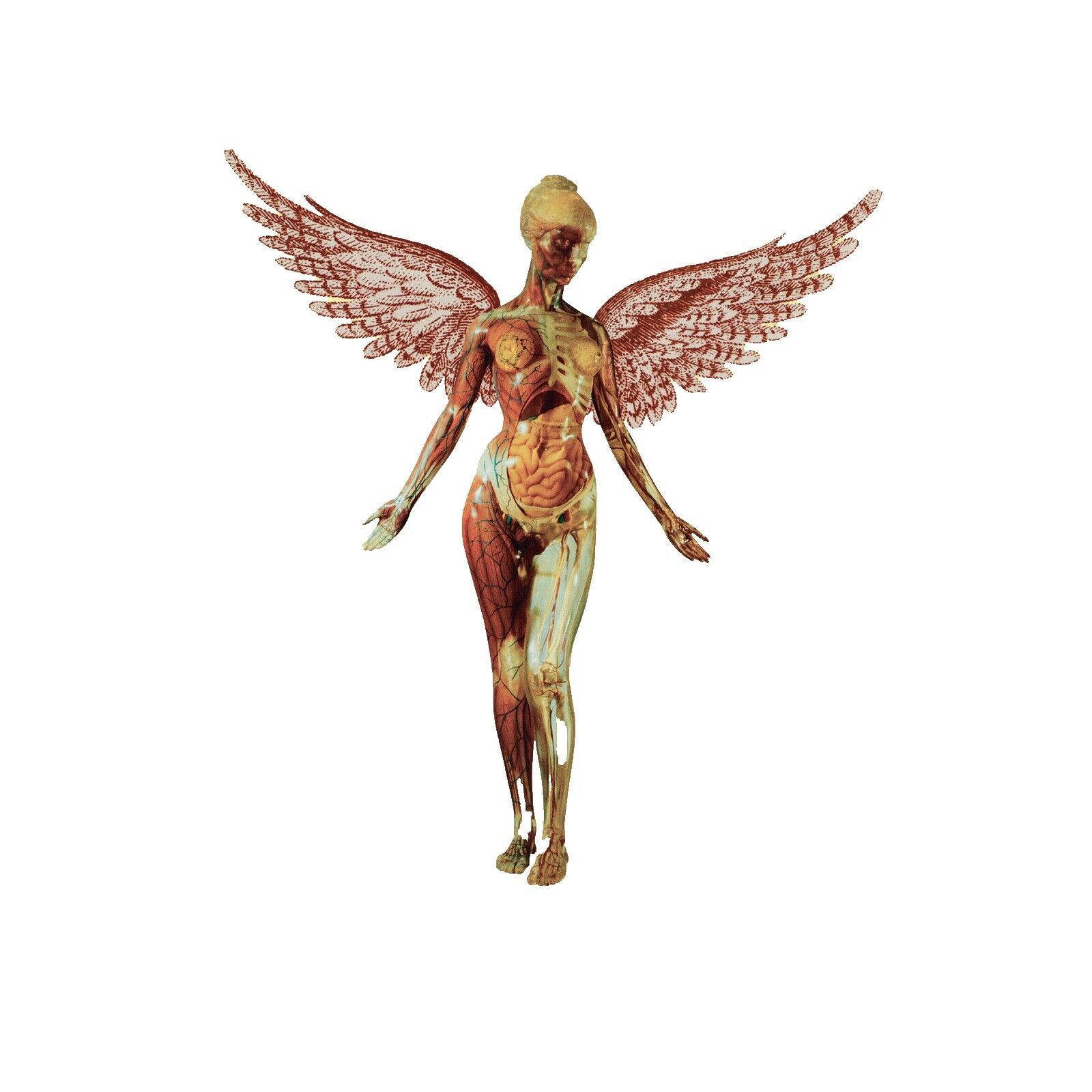 Nirvana in Utero 30th Anniversary Super Deluxe | eBay Nirvana in Utero 30th Anniversary Super Deluxe | eBay