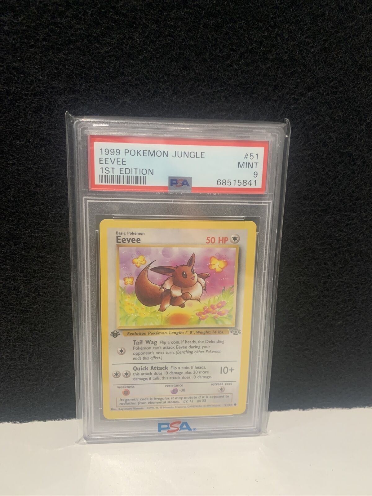 Mavin  Pokémon Card - Eevee (Portuguese) - 51/64 - NM - Jungle