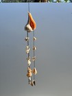 Whelk, Florida Fighting Conch, and Turkey Wing Sea Shell Windchime *Handmade