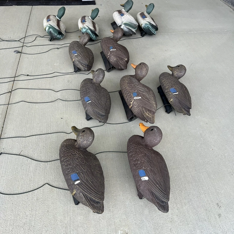 Flambeau Plástico Pato Señuelos Cuerpo Hueco Mallards Hacer y Mujer Lote De Colección Foto 2 de 4