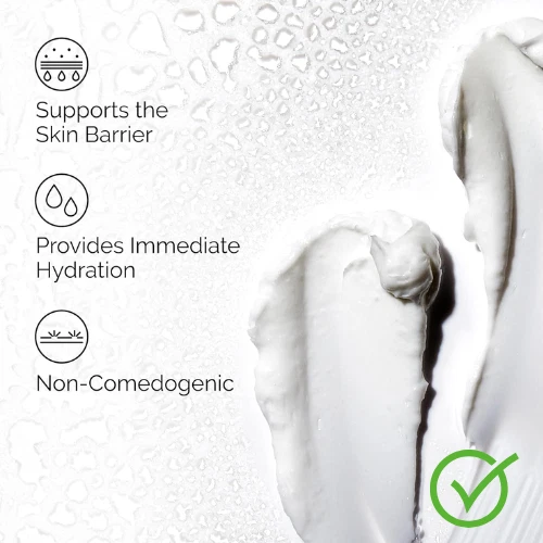 The Ordinary Natural Hidratante Factores + Crema Hidratante HA - 3,4 OZ (100 ml) Foto 3 de 3