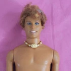 Vintage 2003 Mattel Barbie Cali Girl KEN Surf Boy Doll Beach Surf Story