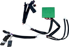 CUSTOM DYNAMICS - SMART Triple Play Module fo...
