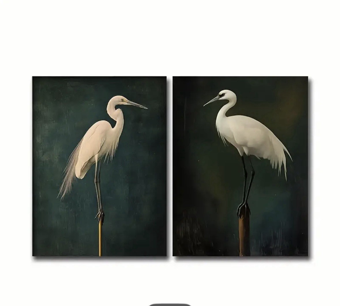 Pair of Crane Bird Canvases (No Frame) Wall Art Print