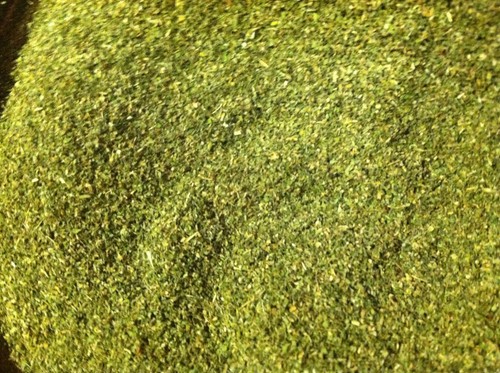 BULK CATNIP 1 OZ - 20) POUNDS, FRESH/DRIED/**FREE SHIPPING*** "2024" CROP - Picture 2 of 4