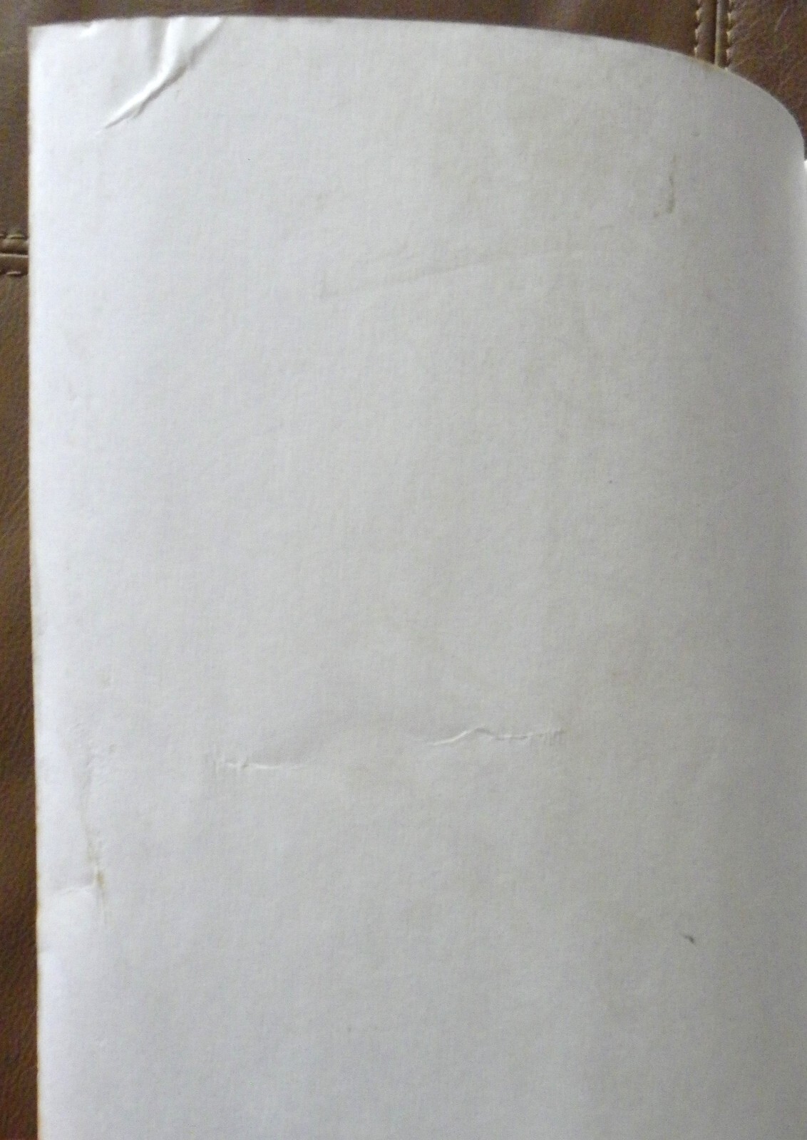 Picture 8 of 8