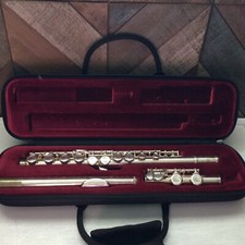 Etude Flute with Pro Tec case