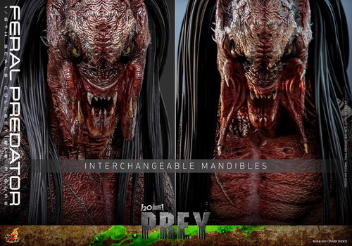 In der Hand! Neu Hot Toys TMS114 1/6 Feral Predator Actionfigur Modell Spielzeug - Bild 19 von 21