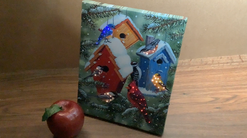 LED Light Up Canvas Print w/6 Batteries Winter Birds Wall Or Table Art SEE VIDEO - Video 1 of 1