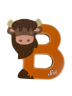 Bild 8 von 54