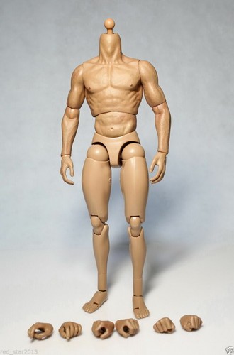US ZC Toy 1/6 Scale Muscular Body Fit 12" Hot Toys Model Male Figure Head Sculpt - Bild 3 von 7