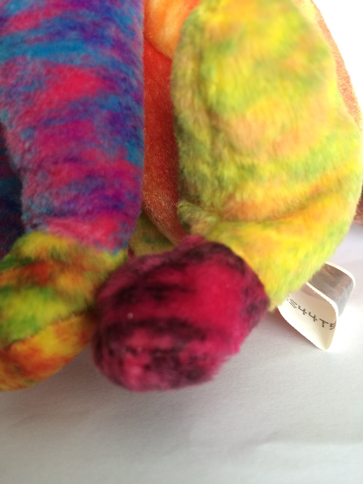 Bild 6 von 6