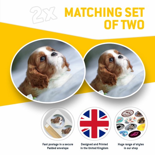 2 x Vinyl Stickers 25cm - Cavalier Charles Spaniel Puppy Dog Cool Gift #12505 - Afbeelding 2 van 9