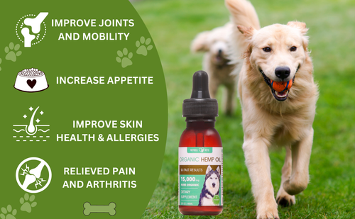 Freydell Pets - Organic Hemp Oil for Dogs and Cats, Calming, Pain Relief - Picture 8 of 8