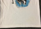 Picture 4 of 12
