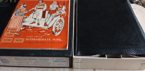 BREVIER SCHWARZE LEDERBIBEL 12 MO.MP55D KARTEN FETTGESICHT, AUSSPRECHEND, ROTE RÄNDER BUCH - Bild 2 von 9