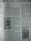 Foto 5 di 11