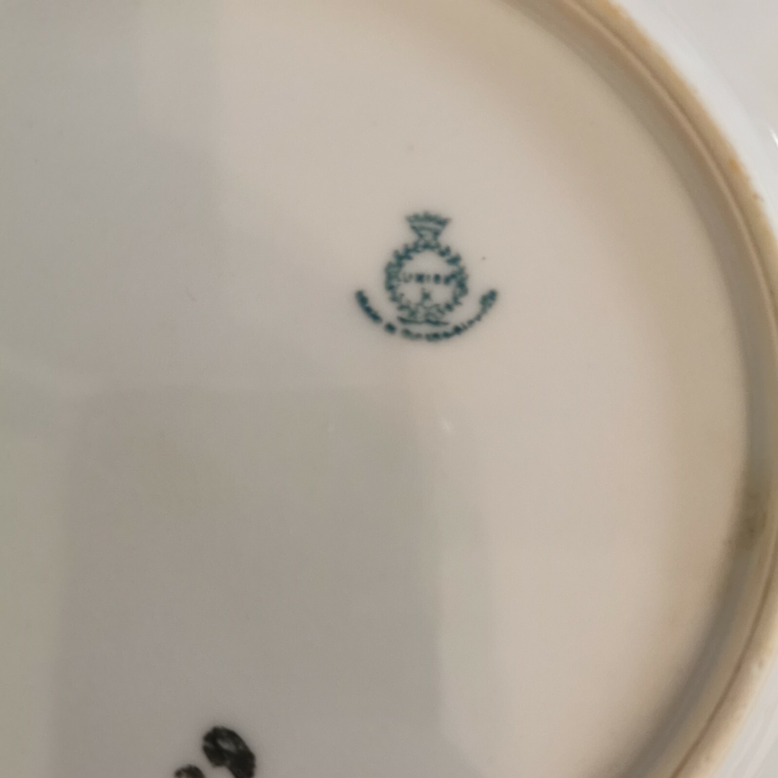 Picture 4 of 12