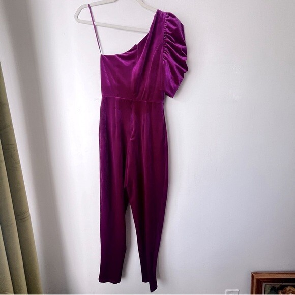 Petal & Pup Emmie Raspberry Purple Velvet One Shoulder Jumpsuit S eBay