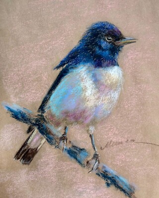Black Bird Painting Animal Art Flycatcher Drawing Oil Pastel 8x10'' by Muura