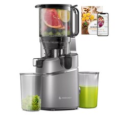 AMZCHEF  Automatic Cold Press Juicer Machines 250W, Triple Filter, Safety Lock