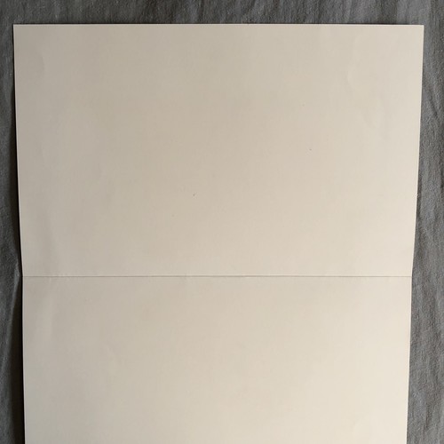 Christopher Wool 2018 Offset Lithographie ohne Titel für W Magazin signiert 16"x12,75 - Bild 9 von 12