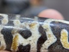 Foto 1 di 9